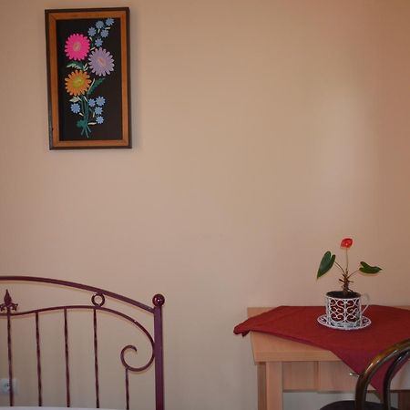 Centre Hostel Mukačevo Exteriér fotografie